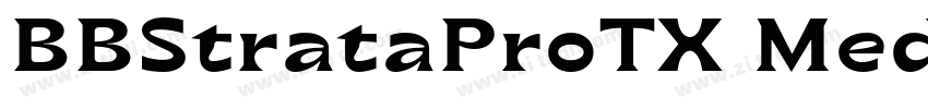 BBStrataProTX Medium字体转换 BBStrataProTX Medium字体转换